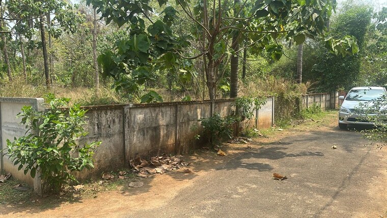 undefined, velappaya  8712 Sq.Ft. Plot In Velappaya Thrissur 10087538