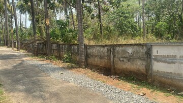 Plot Area in  Plot at Velappaya – for Sale