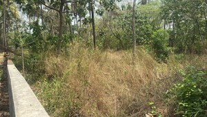  Plot For Sale in Velappaya