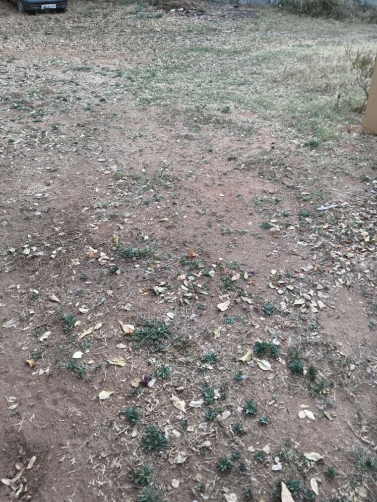 undefined, adibatla  120 Sq.Yd. Plot In Adibatla Hyderabad 10073689