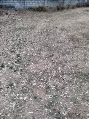 Plot Area in  Plot at Adibatla – for Sale