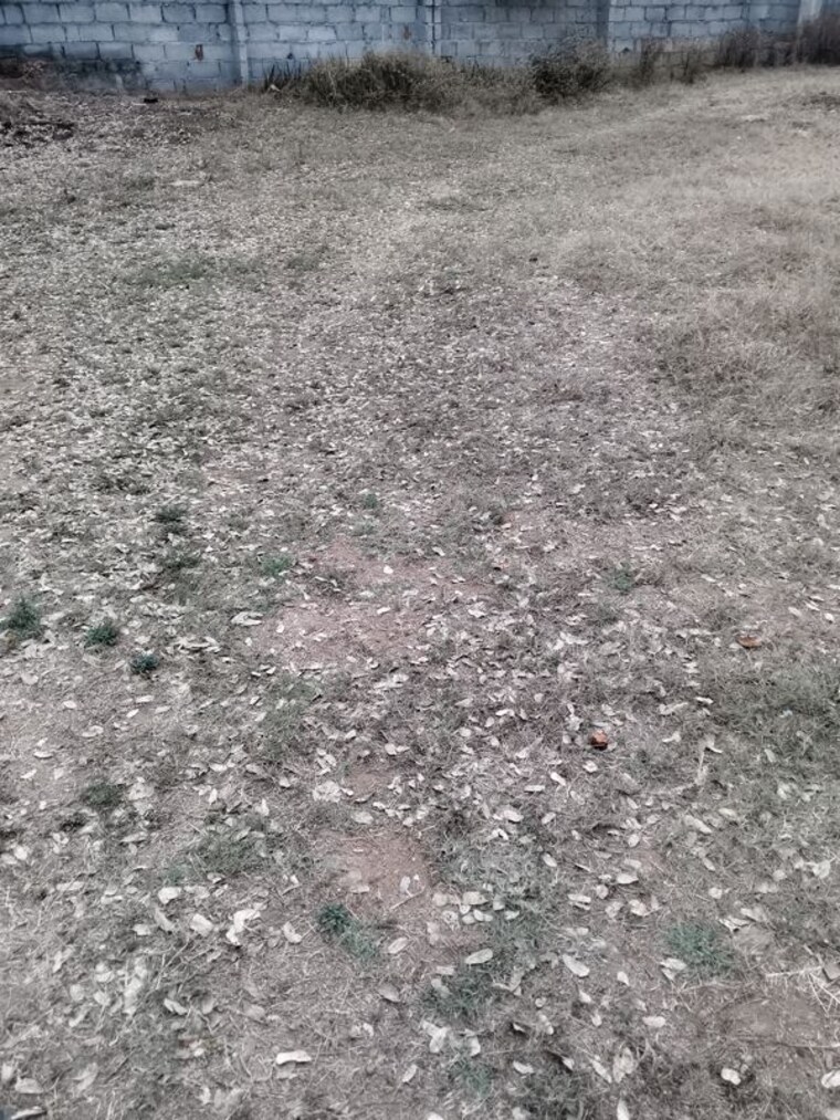 undefined, adibatla  120 Sq.Yd. Plot In Adibatla Hyderabad 10073689