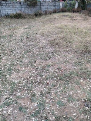  Plot For Sale in Adibatla