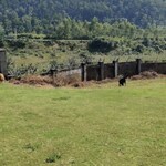 182 Sq.Yd. Plot in Sahastradhara Road