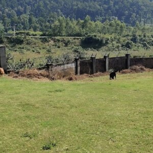  Plot For Sale in Sahastradhara Road