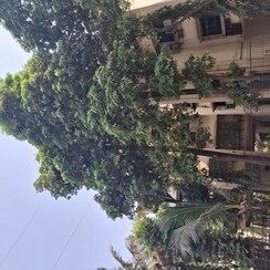 1 RkApartment For Rent in Gharonda Housing