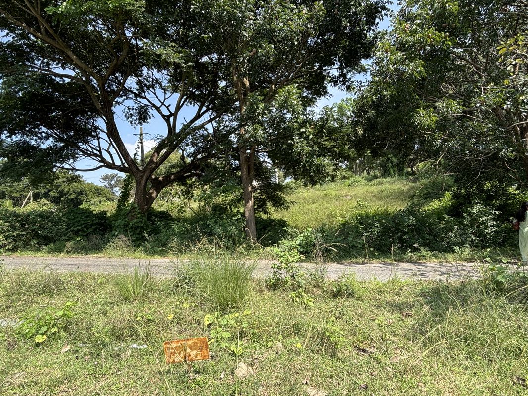 Plot For Sale in Bukkasagara