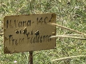  Plot – Exterior View View at Bukkasagara - for Sale