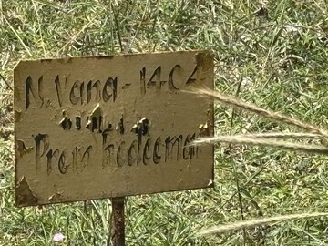  Plot – Exterior View View at Bukkasagara - for Sale