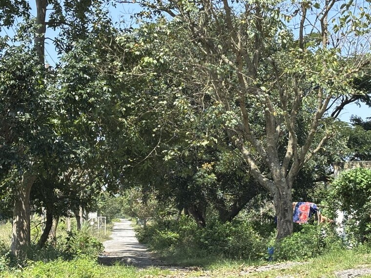 Garden, bukkasagara  1200 Sq.Ft. Plot In Bukkasagara Bangalore 10088255