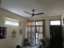 1 BHK Apartment For Rent in Cassia Estate