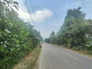 Plot Area in  Plot at Ramnagar – for Sale