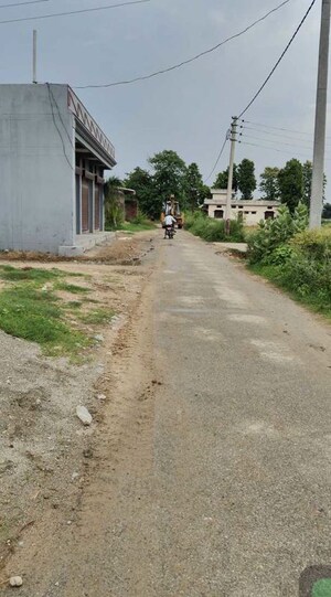 Plot Area in  Plot at Ramnagar – for Sale