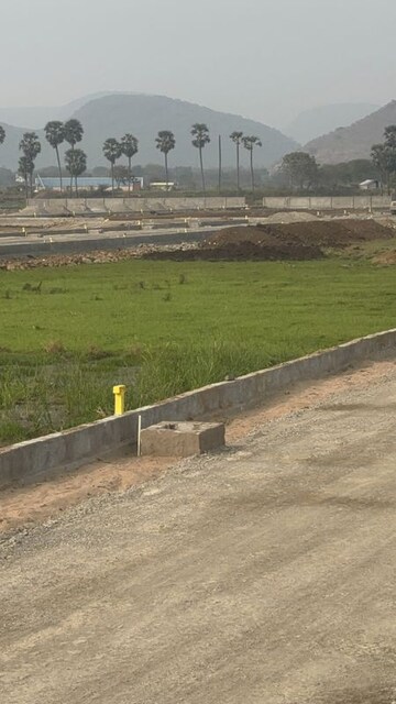 Plot Area in  Plot at Nalluri N Cosmos City, Guntur – for Sale