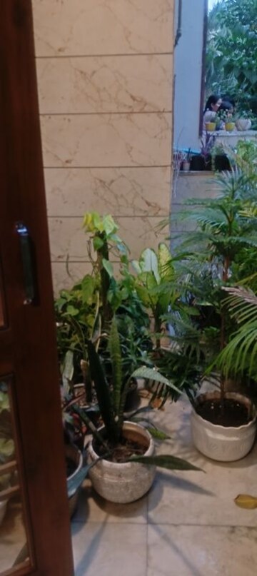 2 BHK Apartment – Exterior View View at Basera Apartments Sector 49, Sector 49 - for Sale