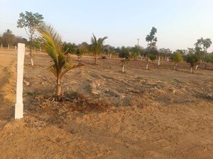 Plot Area in  Plot at Yacharam – for Sale