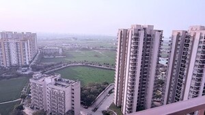 3 BHK Apartment For Rent in Adani M2K Oyster Grande, Sector 102