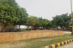 Plot For Sale in New Friends Colony