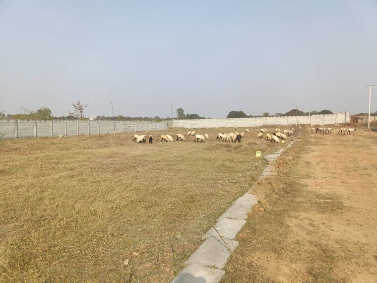 undefined, shadnagar  700 Sq.Yd. Plot In Shadnagar Hyderabad 10088738