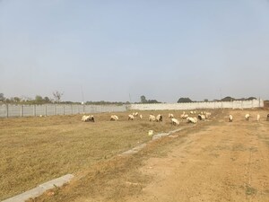 Plot Area in  Plot at Shadnagar – for Sale