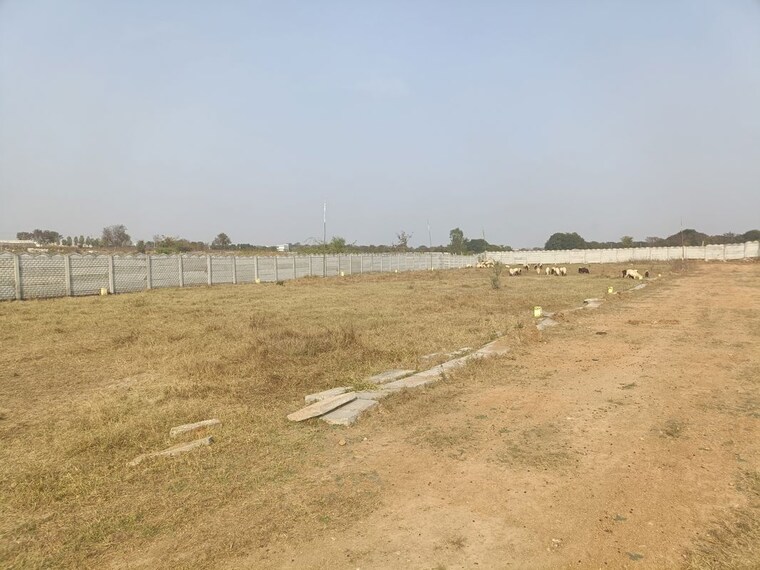 undefined, shadnagar  700 Sq.Yd. Plot In Shadnagar Hyderabad 10088738