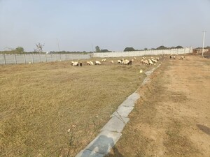 Plot Area in  Plot at Shadnagar – for Sale
