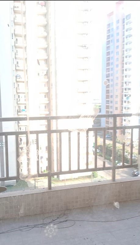 3 BHK + Servant Room Apartment For Rent in Adani M2K Oyster Grande
