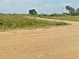Plot Area in  Plot at Uraiyoor – for Sale