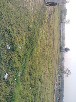 Plot Area in  Plot at Sohna – for Sale