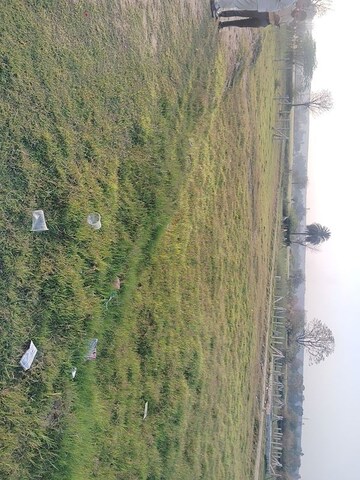 Plot Area in  Plot at Sohna – for Sale