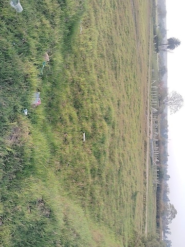 Plot Area in  Plot at Sohna – for Sale