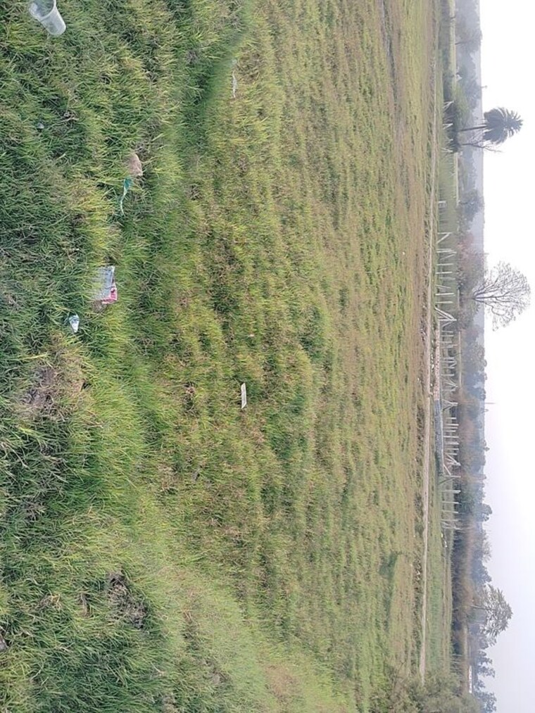 undefined, sohna  100 Sq.Yd. Plot In Sohna Gurgaon 10089462