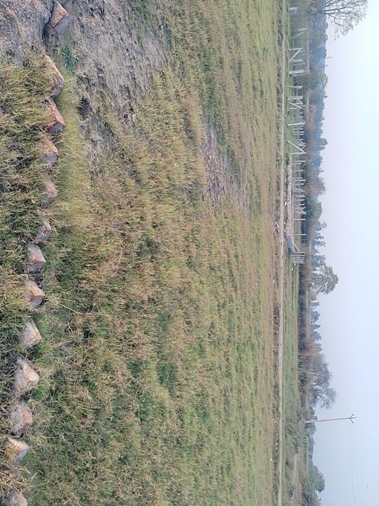 undefined, sohna  100 Sq.Yd. Plot In Sohna Gurgaon 10089462