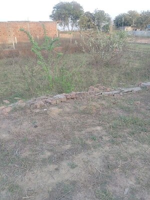 Plot Area in  Plot at Sohna – for Sale