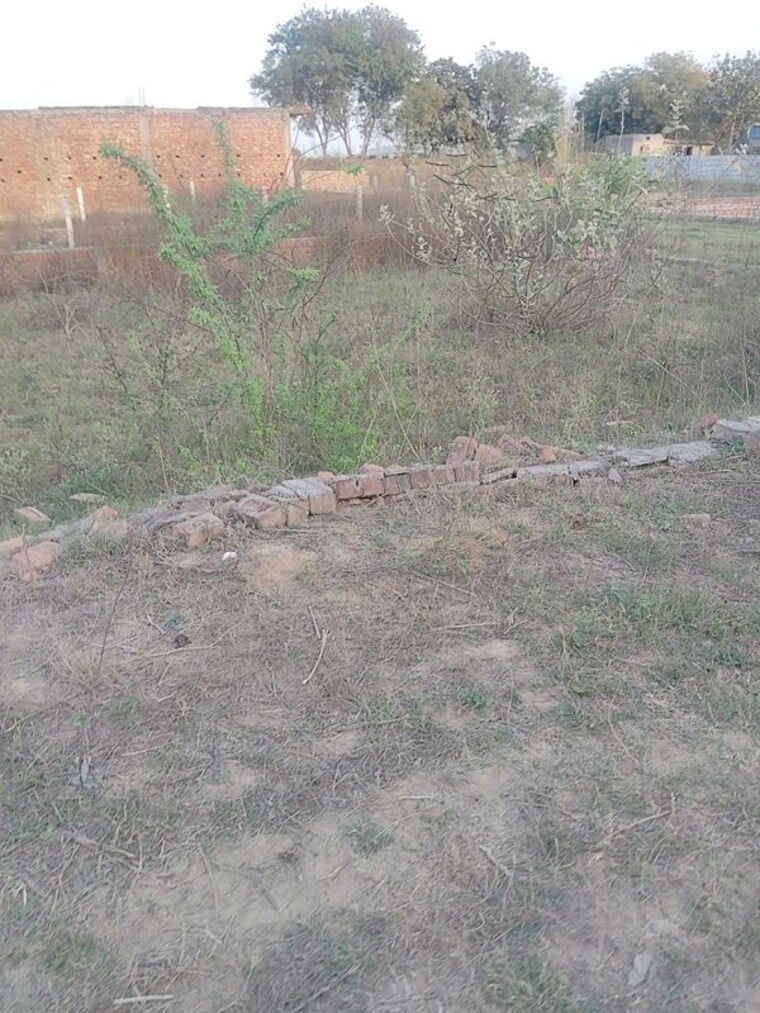 undefined, sohna  100 Sq.Yd. Plot In Sohna Gurgaon 10089462
