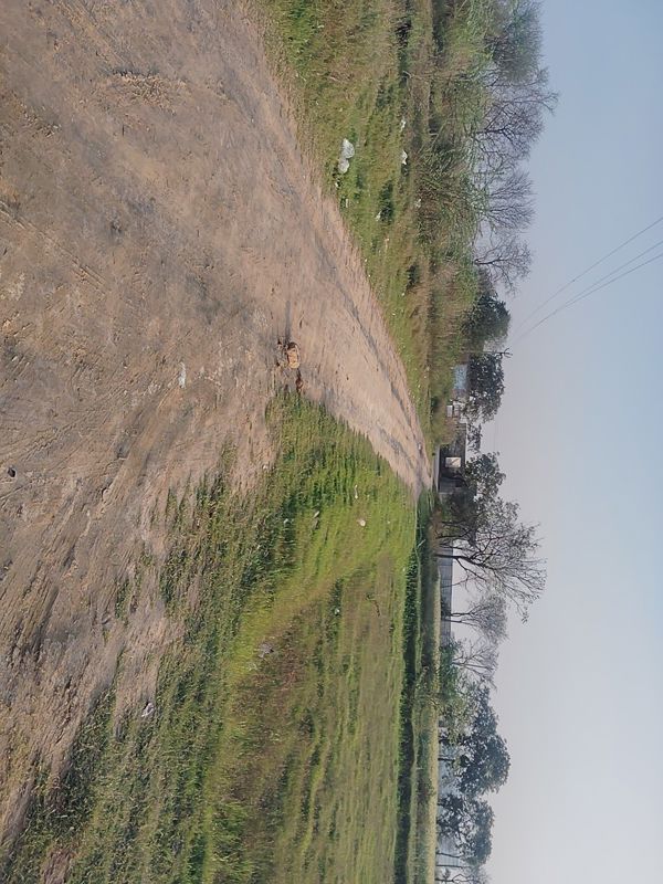 Plot For Sale in Sohna