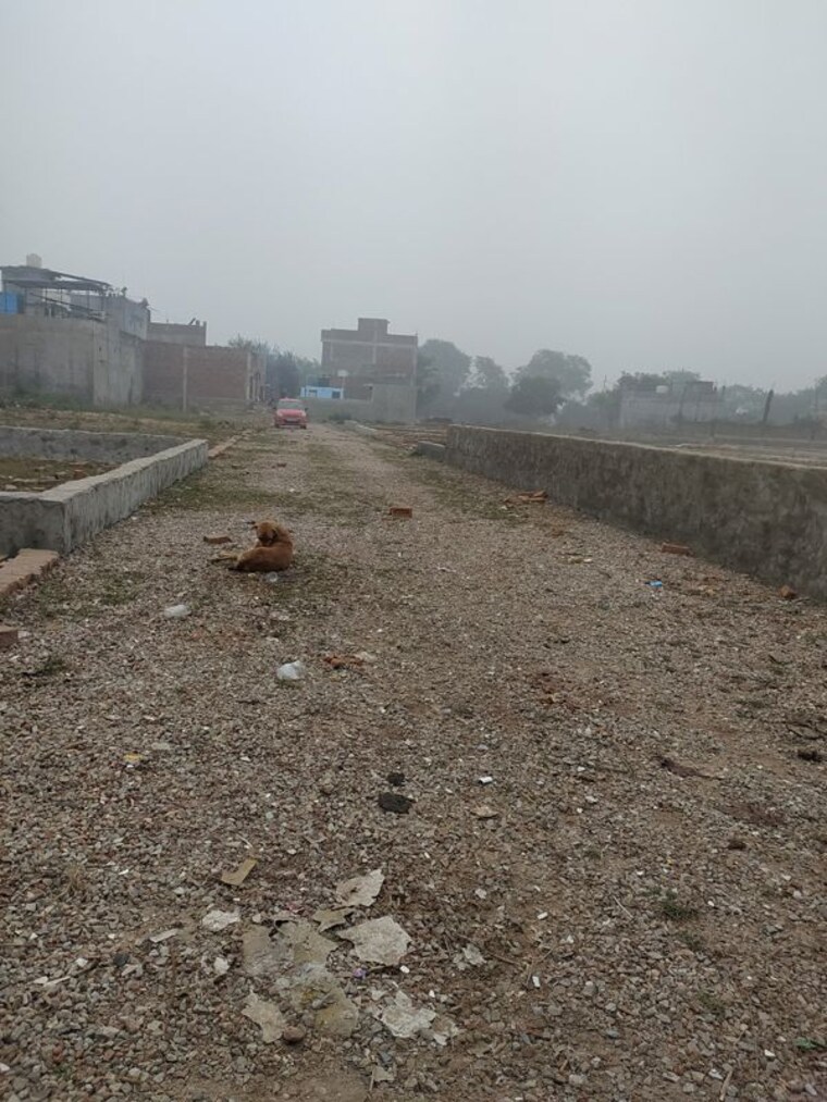undefined, shadnagar  212 Sq.Yd. Plot In Shadnagar Hyderabad 10072442
