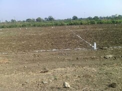 Plot For Sale in Shadnagar