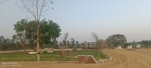 Plot Area in  Plot at Shadnagar – for Sale
