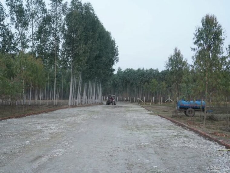 undefined, saharanpur road  1000 Sq.Yd. Plot In Saharanpur Road Dehradun 10090147