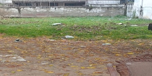  Plot For Sale in Sector 89