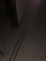 6 BHK + Pooja Room,Servant Room,Study Room,Extra Room 800 Sq.Yd. Villa in Maharani Bagh