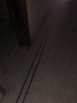 6 BHK Villa For Sale in Maharani Bagh