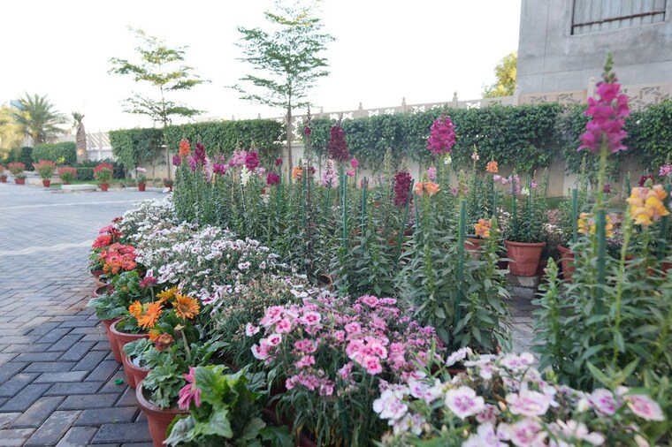 Garden, emaar-mgf-emerald-hills  267 Sq.Yd. Plot In Sector 65 Gurgaon 10090839