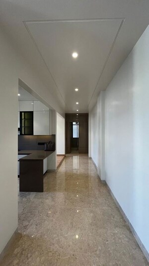 3 BHK Builder Floor For Rent in Sector 56