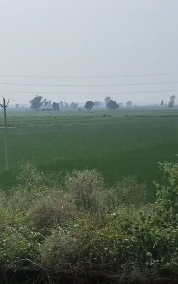 Plot Area in  Plot at Atta Gujran – for Sale