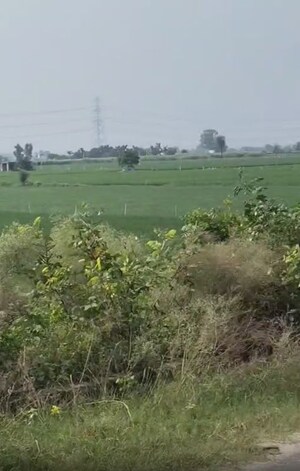  Plot For Sale in Atta Gujran