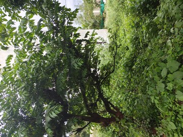  Plot For Sale in Nagegowdanapalya