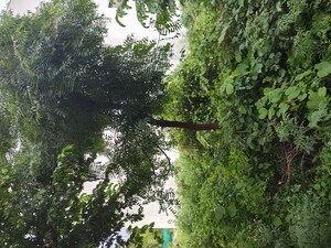 Plot Area in  Plot at Nagegowdanapalya – for Sale