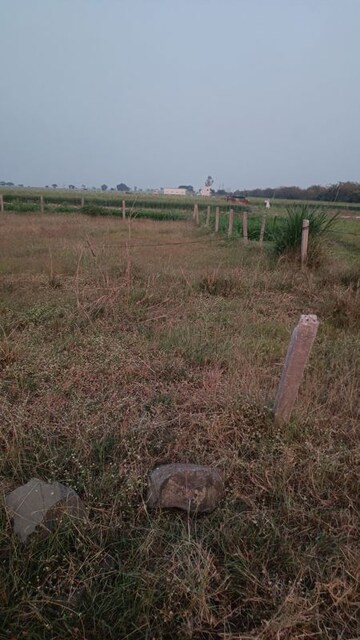 Plot Area in  Plot at Rambag – for Sale